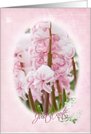 just a note. pink hyacinth in snow with oval framing card
