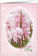 thank you, pink hyacinth with snow card