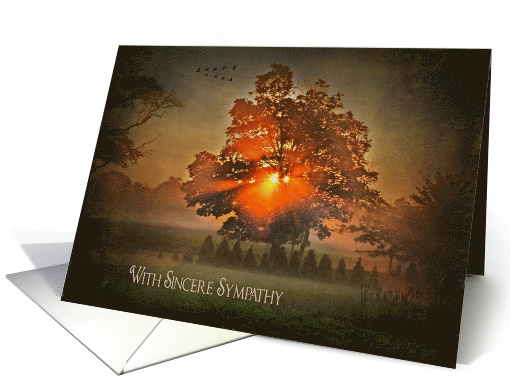 Flock of Geese With Sunrise Tree Sympathy card (810990)