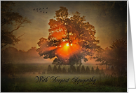 sympathy from couple, morning sunbeams through trees with geese card