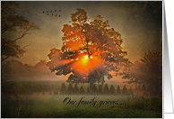 Sympathy from family-sunbeams in tree with flying geese card