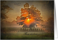 Sunrise Sunbeams In Tree With Flying Geese For Sympathy card