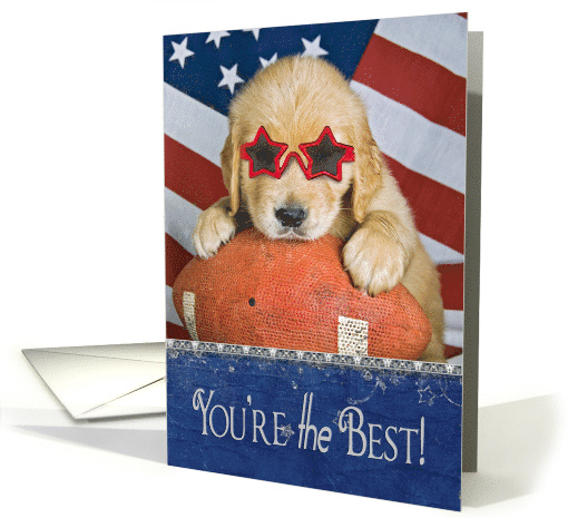 Golden Retriever pup with star sunglasses on football for son card