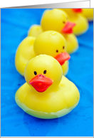 Birthday yellow rubber ducks in pool card