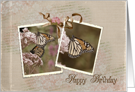 monarch butterfly-birthday-vintage card