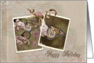 monarch butterfly-birthday-vintage card