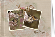 thank you-monarch butterfly-vintage-flower card
