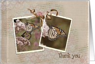 thank you-monarch...