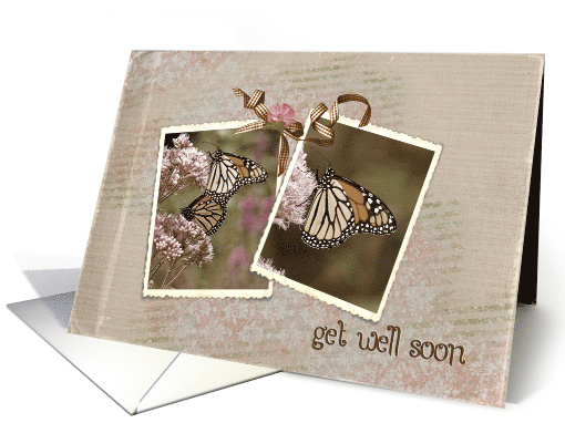 Get Well Soon, monarch butterfly photo snapshots card (823936)