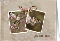 Get Well Soon, monarch butterfly photo snapshots card