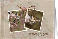 Thinking of You monarch butterfly photos in snapshot frames card