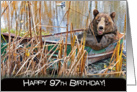 97th birthday-bear-humor-boat card
