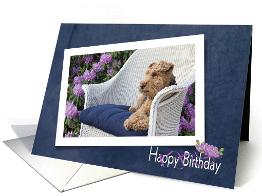 Sister's Birthday - Welsh terrier in garden with azaleas card (831151)
