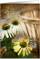 Butterfly On A Cone Flower For Thinking Of You card