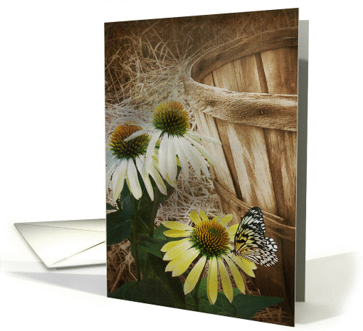 birthday-butterfly on cone flower with old bushel basket card (837195)