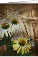 birthday-butterfly on cone flower with old bushel basket card