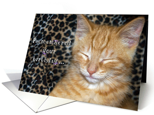 birthday for friend with tabby kitten on leopard background card