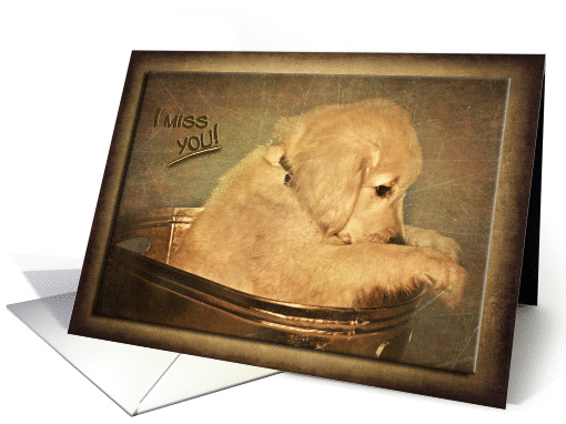 Miss you, sad golden retriever puppy in bucket card (855065)