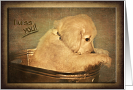 Miss you, sad golden retriever puppy in bucket card