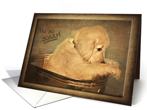 I'm Sorry, sad golden retriever puppy in vintage tub card (855066)
