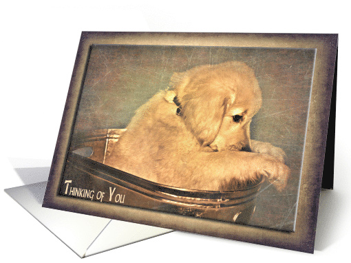 Thinking of you golden retriever puppy in antique washtub card