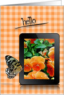 Hello, butterfly on electronic tablet with orange pansy flowers card
