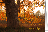 heartfelt sympathy with autumn oak card