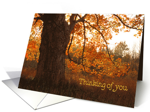 Thinking of You autumn oak tree with orange foliage card (861930)