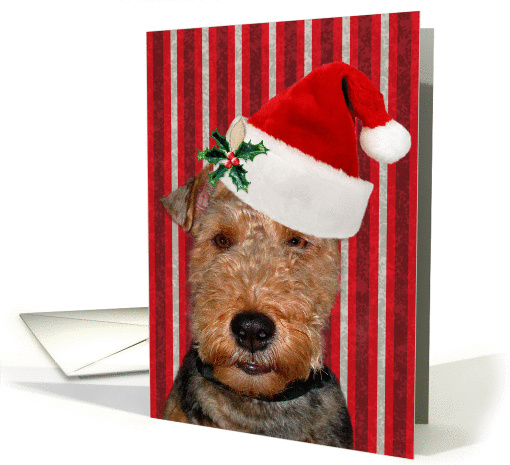 Christmas, Welsh Terrier, Santa hat, stripes card (867532)