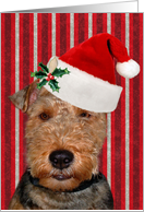 Christmas, Welsh Terrier, Santa hat, stripes card