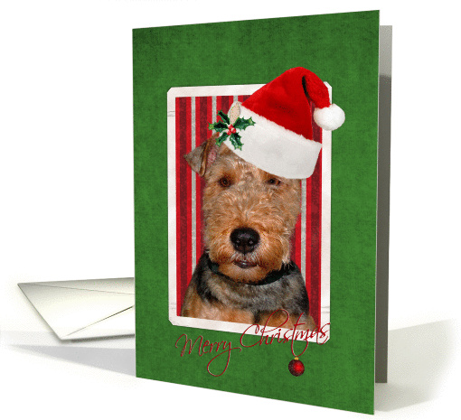 Merry Christmas, Welsh Terrier in Santa hat with red... (867537)