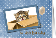 Mom’s birthday with kitten and balloon card