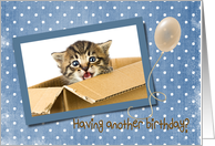 Sister’s Birthday kitten in a box on polka dot background with balloon card
