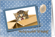 Niece’s Birthday, kitten in a box with balloon on polka dot background card