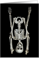 Halloween-skeleton...
