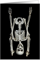 Halloween-skeleton standing on its head isolated on black card