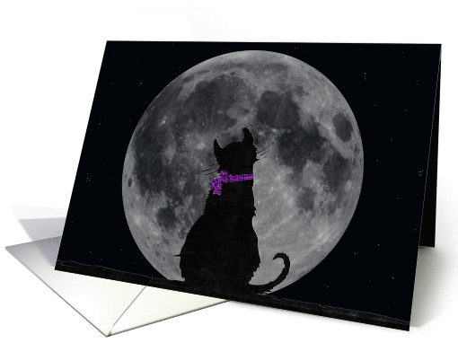 cat, moon, Miss You, silhouette, friend card (872654)