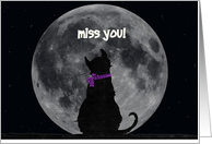 cat, moon, Miss You, silhouette, love card