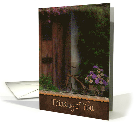Old Tricycle With Carnation Bouquet For Thinking Of You card (879830)