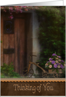 Old Tricycle With Carnation Bouquet For Thinking Of You card