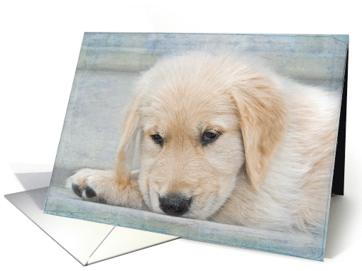 Get Well Soon golden retriever puppy with soft texture overlay card