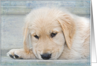 Get Well Soon golden retriever puppy with soft texture overlay card