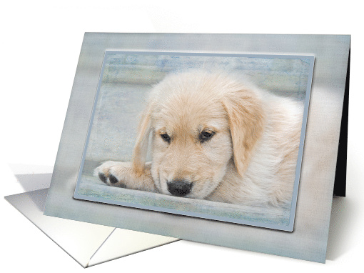 Get Well Soon Golden Retriever puppy with soft texture overlay card