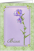 watercolor, bluebells, flower blank card