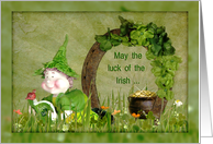 St.Patrick’s Day Leprechaun With Horseshoe and Shamrocks card