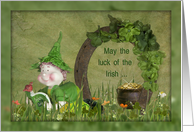 friend St. Patrick’s Day Irish leprechaun with horseshoe and shamrocks card