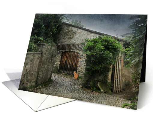 thinking of you, tabby, cat, European, courtyard, vintage card