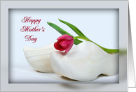 Dutch tulip on wooden shoe for Mother’s Day card