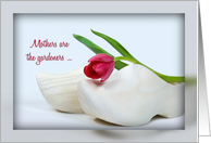 Dutch tulip on wooden shoe for Mother’s Day card