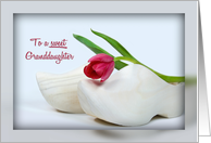 Tulip on wooden shoes for Granddaughter’s birthday card
